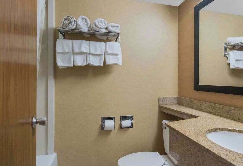 酒店 Quality Inn Westfield  Springfield