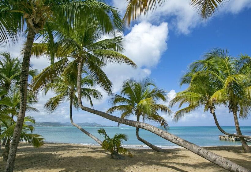 هتل The Buccaneer Beach & Golf Resort