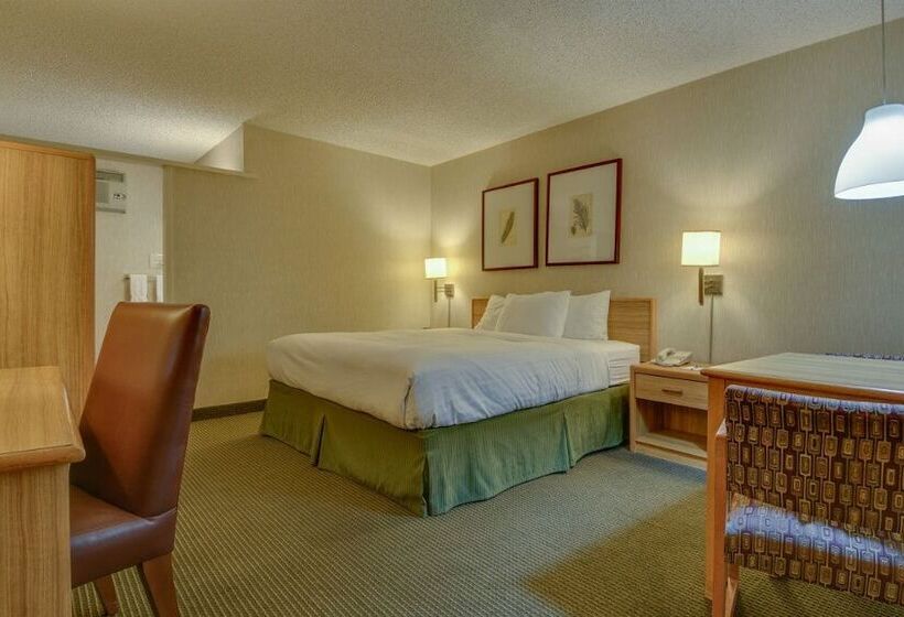 호텔 Vagabond Inn Los Angeles At Usc