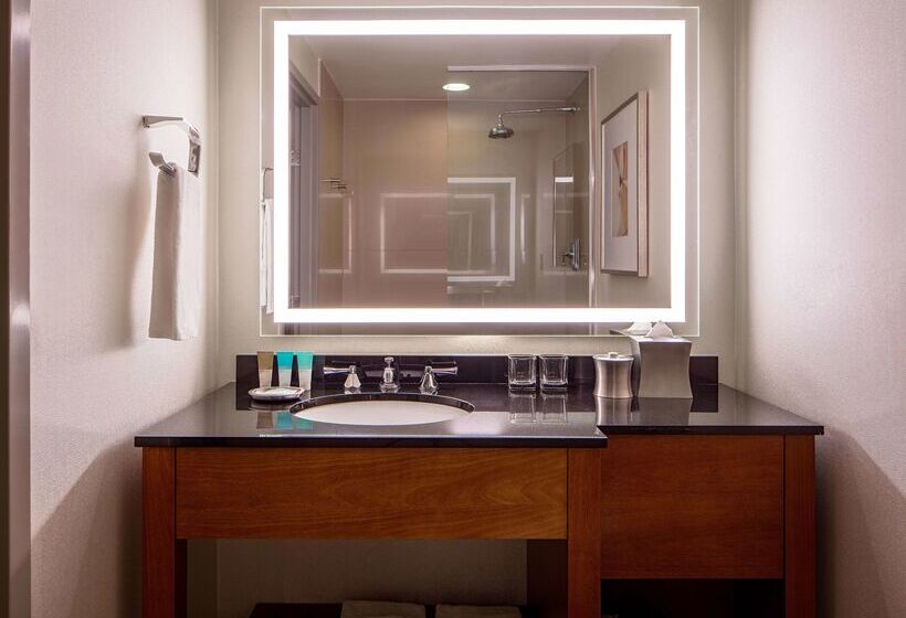 هتل Hyatt Regency Crystal City At Reagan National Airport