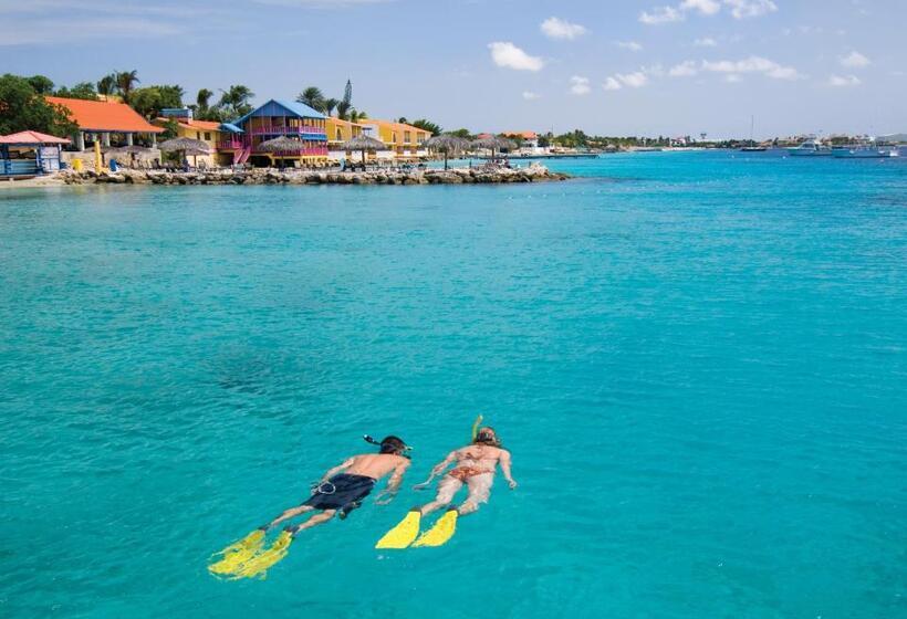 Divi Flamingo Beach Resort