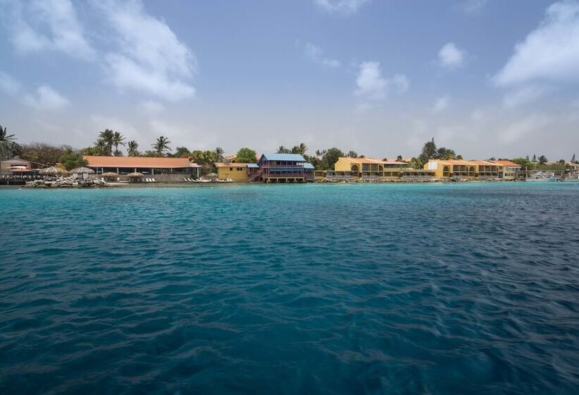 Divi Flamingo Beach Resort