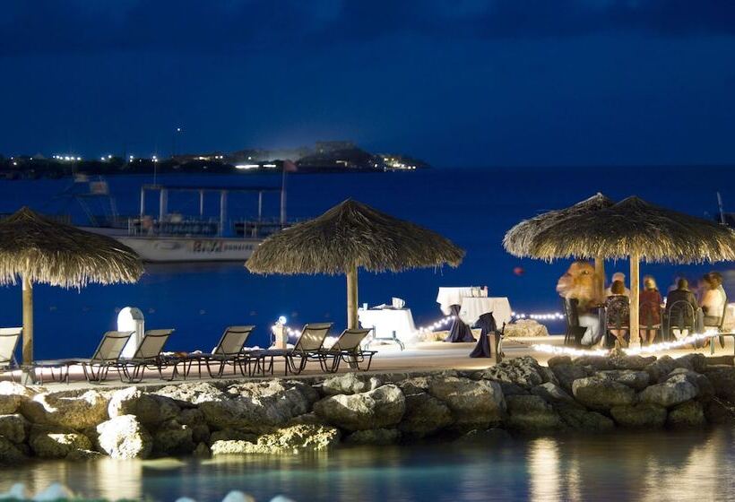 Divi Flamingo Beach Resort