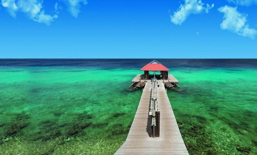 Divi Flamingo Beach Resort