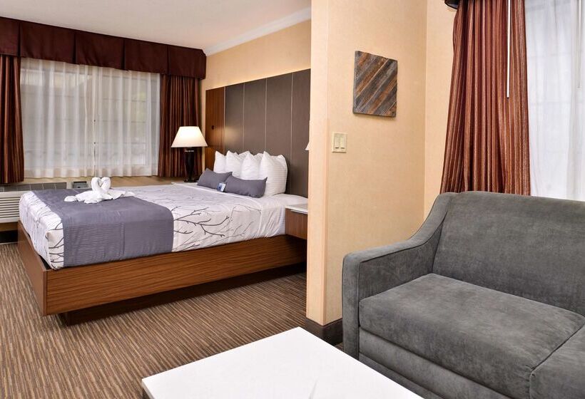 Best Western Hollywood Plaza Inn Hotel   Hollywood Walk Of Fame La