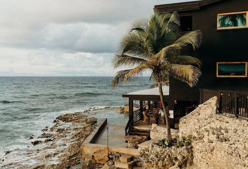 هتل The Waves At Cane Bay