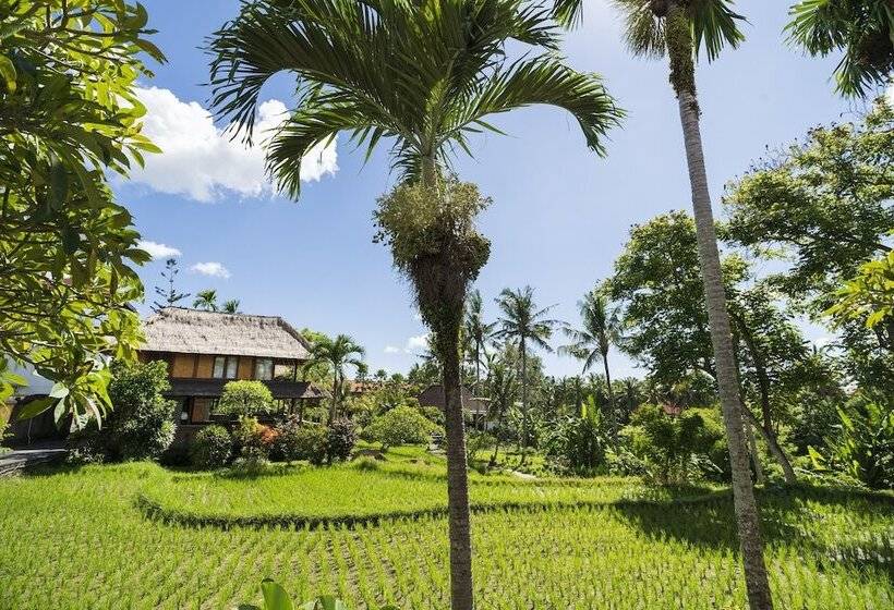 Amatara Agung Raka