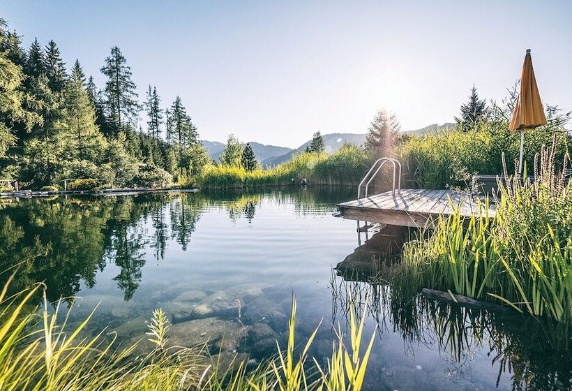 فندق übergossene Alm Resort