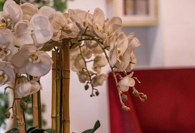 Sofyan Hotel Cut Meutia