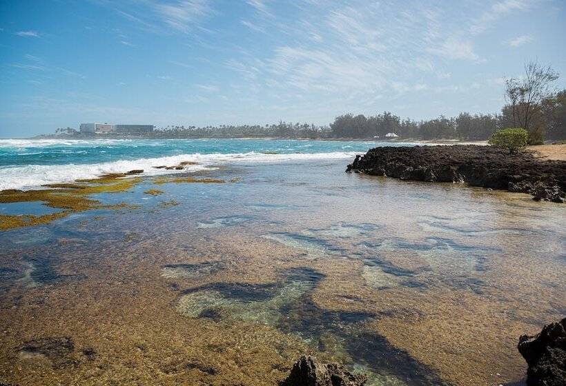 منتجع The Ritz Carlton O Ahu, Turtle Bay