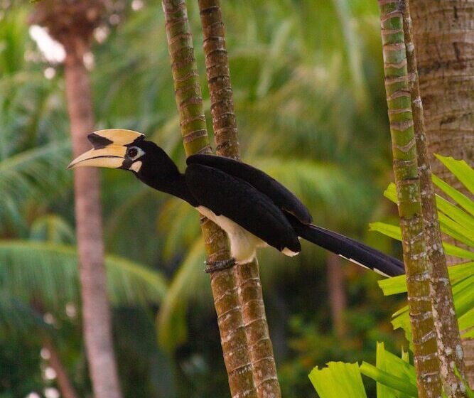 Berjaya Langkawi Resort