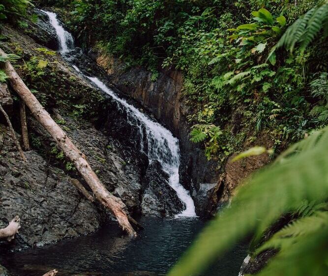 El Conquistador Resort  Puerto Rico