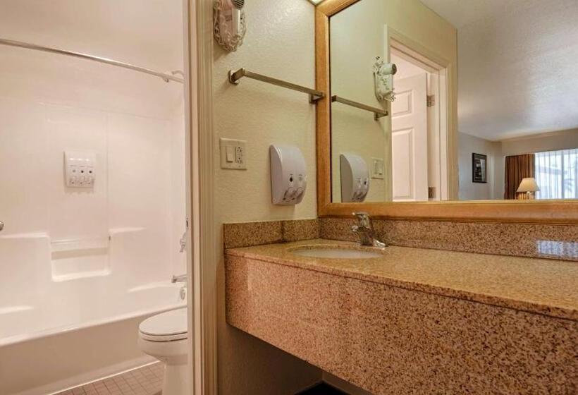 فندق Best Western Colorado River Inn