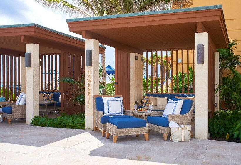 فندق Eau Palm Beach Resort & Spa