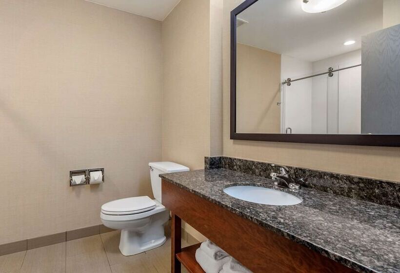 בית מלון כפרי Comfort Suites