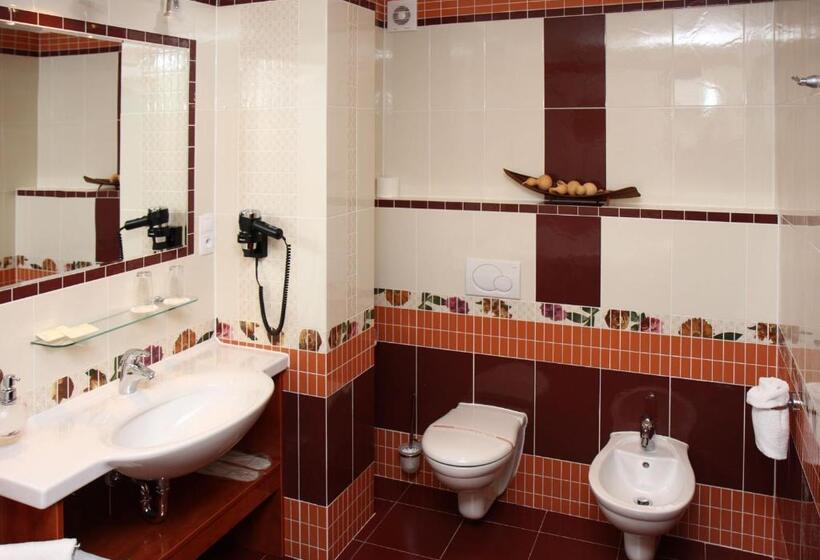 هتل česká Koruna