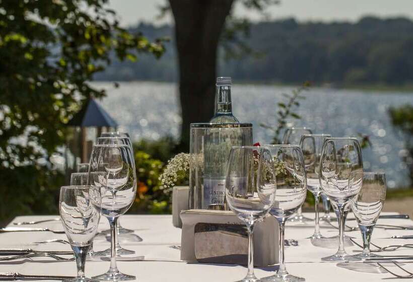 Falk Seehotel Plau Am See