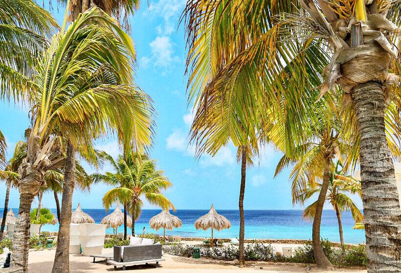 Van Der Valk Plaza Beach & Dive Resort Bonaire