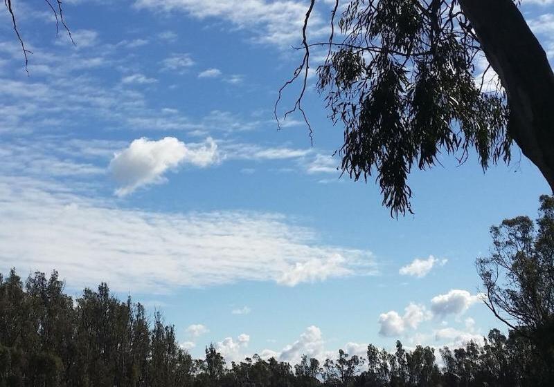 ホテル Bridge Motor Inn Tocumwal