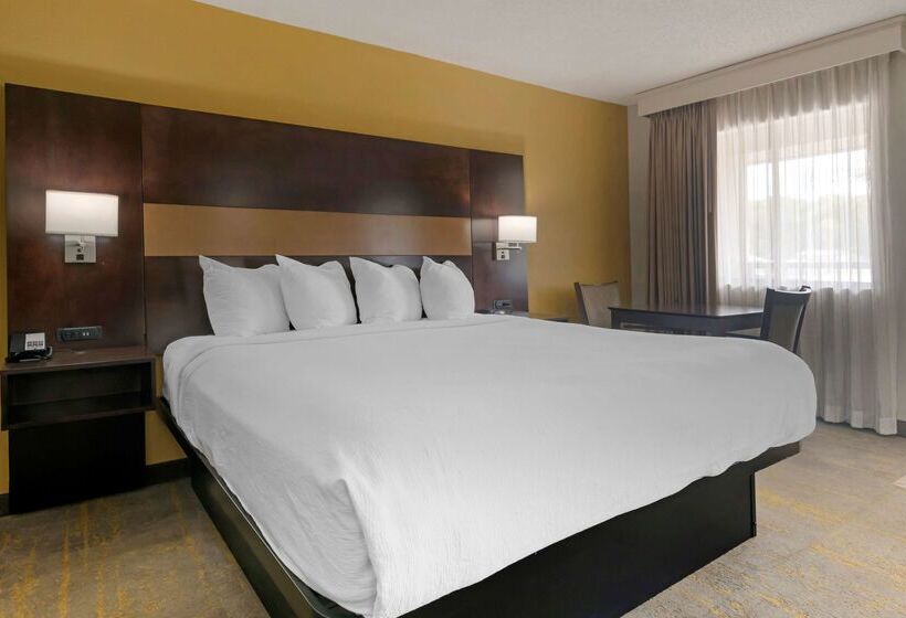בית מלון כפרי Best Western Inn Of Palatka