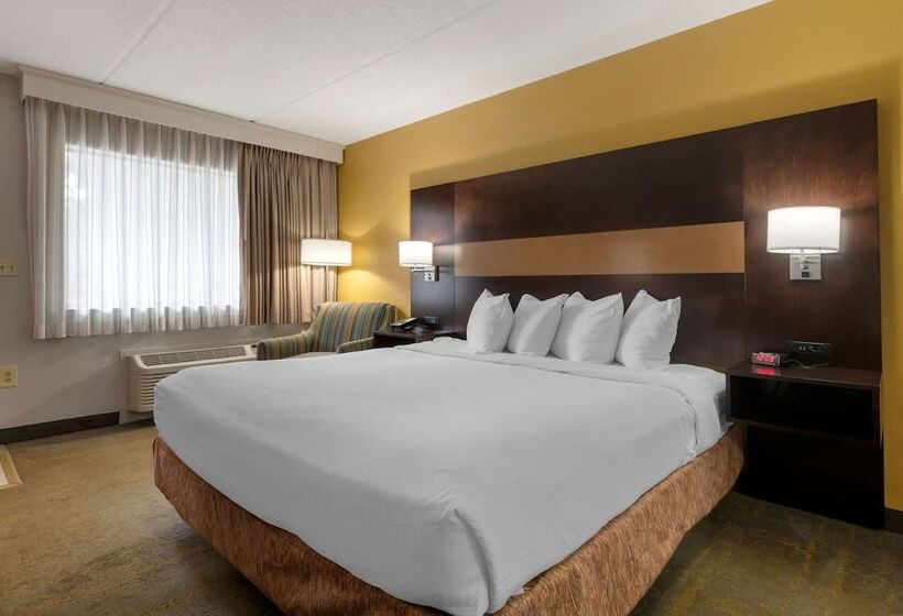 בית מלון כפרי Best Western Inn Of Palatka