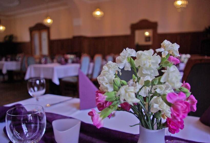 Parkhotel Senftenberg