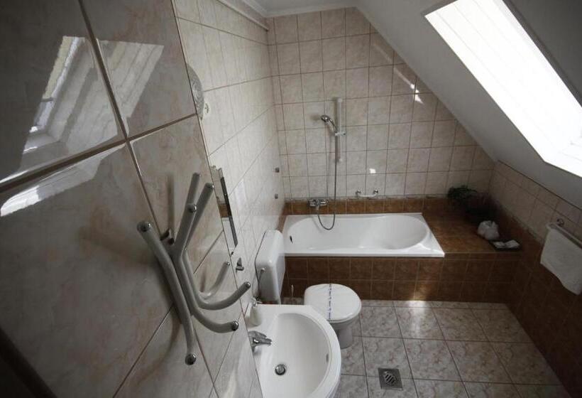 호텔 Parti Panzió