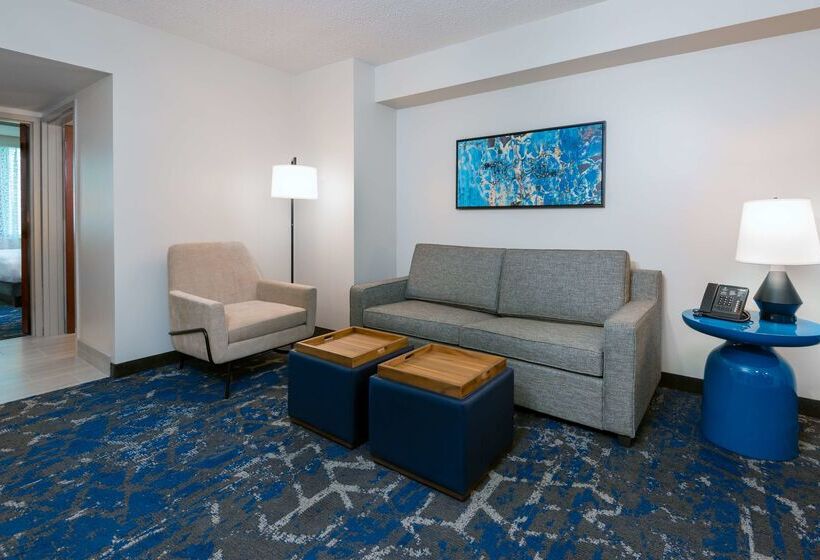 בית מלון כפרי Embassy Suites By Hilton Tampa Usf Near Busch Gardens