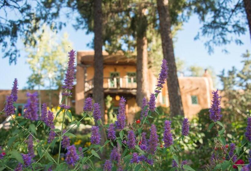 هتل Inn Of The Turquoise Bear