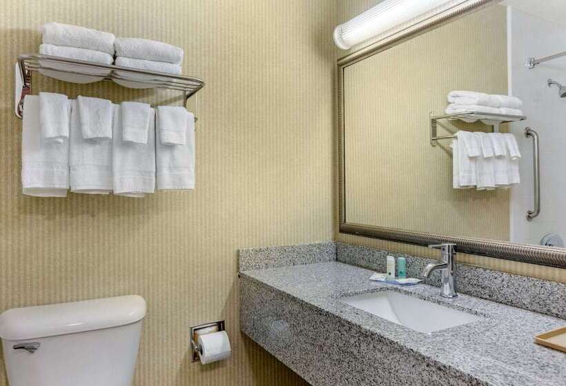 酒店 Quality Inn & Suites Oceanside Near Camp Pendleton