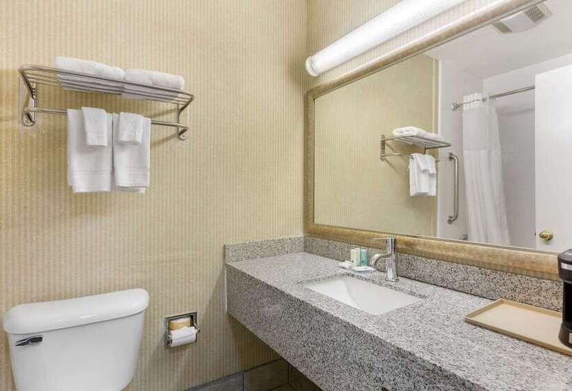 酒店 Quality Inn & Suites Oceanside Near Camp Pendleton