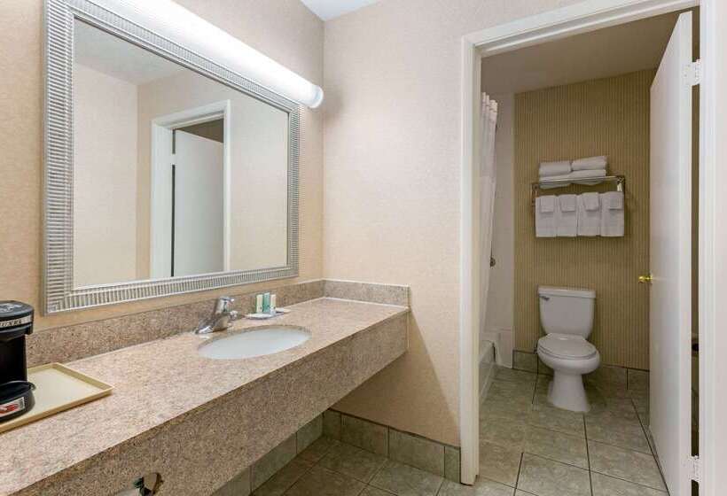 酒店 Quality Inn & Suites Oceanside Near Camp Pendleton
