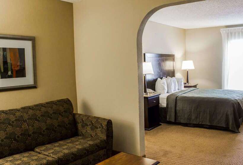ホテル Quality Inn & Suites