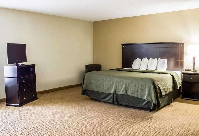 ホテル Quality Inn & Suites