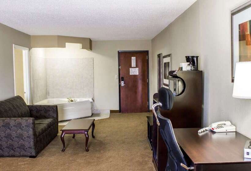 ホテル Quality Inn & Suites