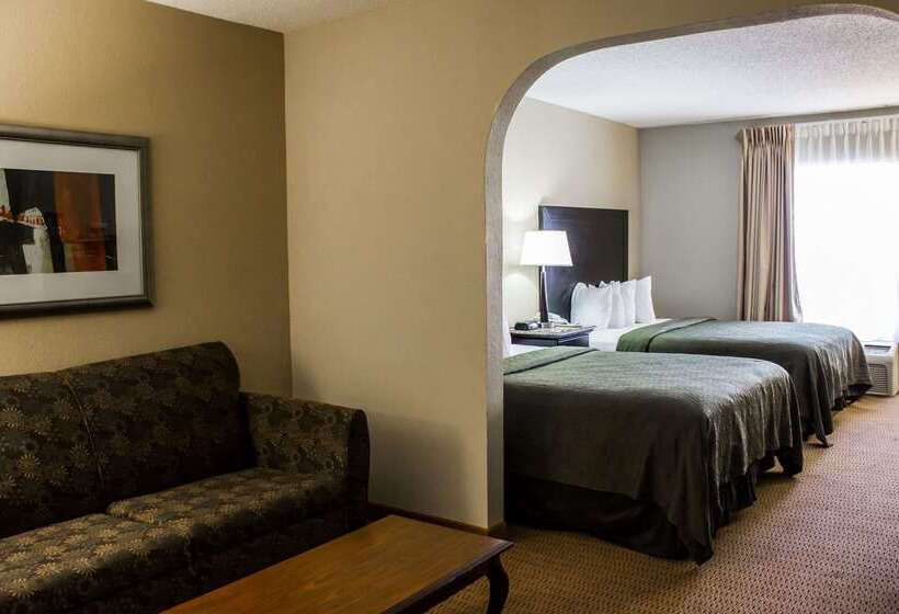 ホテル Quality Inn & Suites