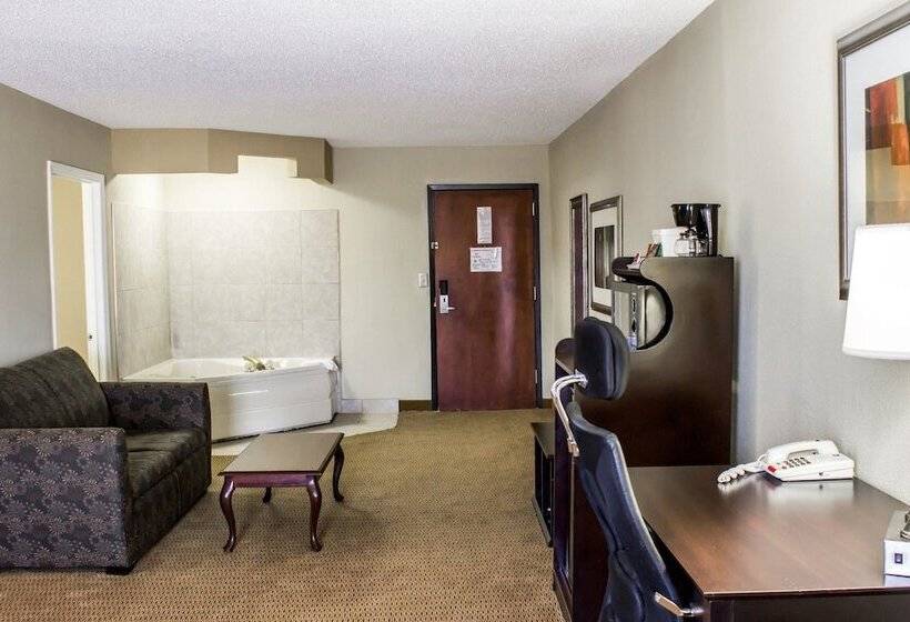 ホテル Quality Inn & Suites