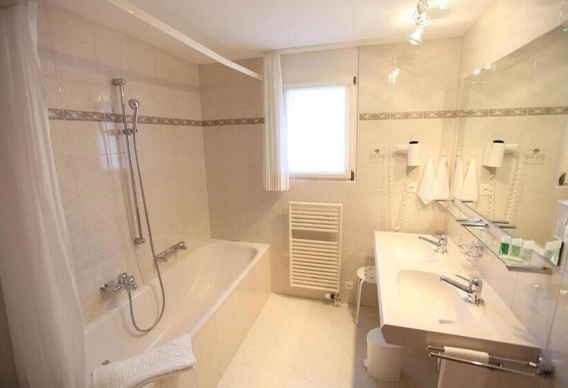 Typically Swiss Hotel Altana