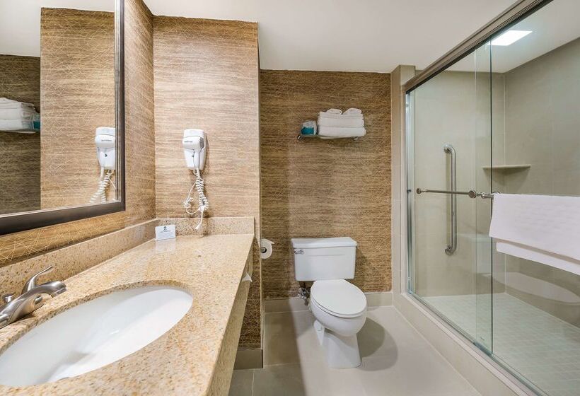 בית מלון כפרי Best Western Detroit Livonia