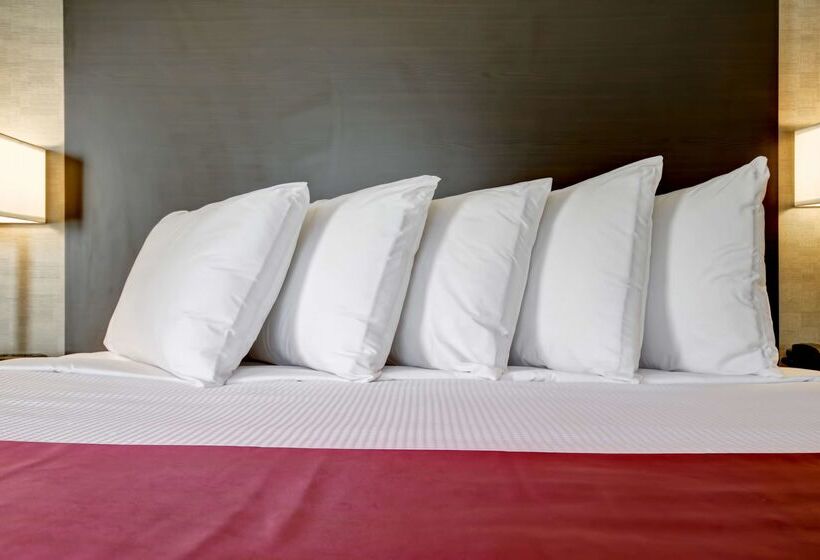 酒店 Best Western Little River Inn
