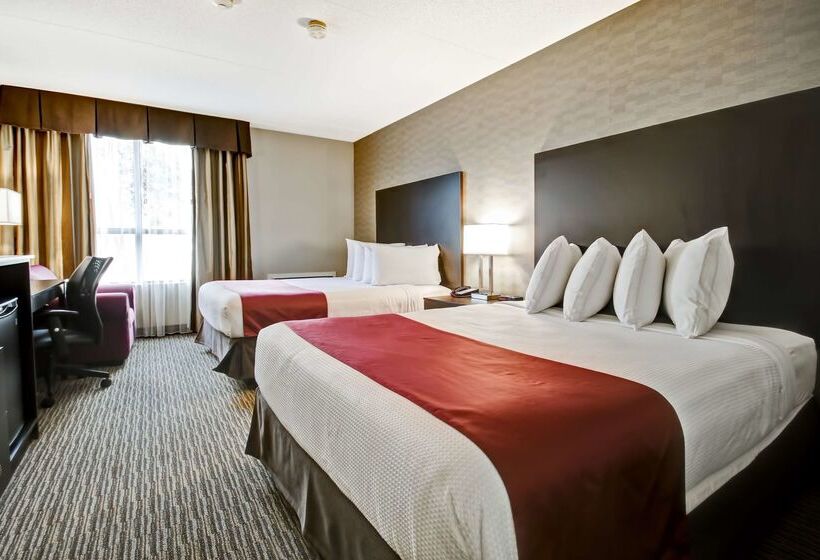 酒店 Best Western Little River Inn