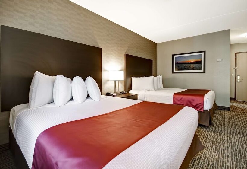 酒店 Best Western Little River Inn