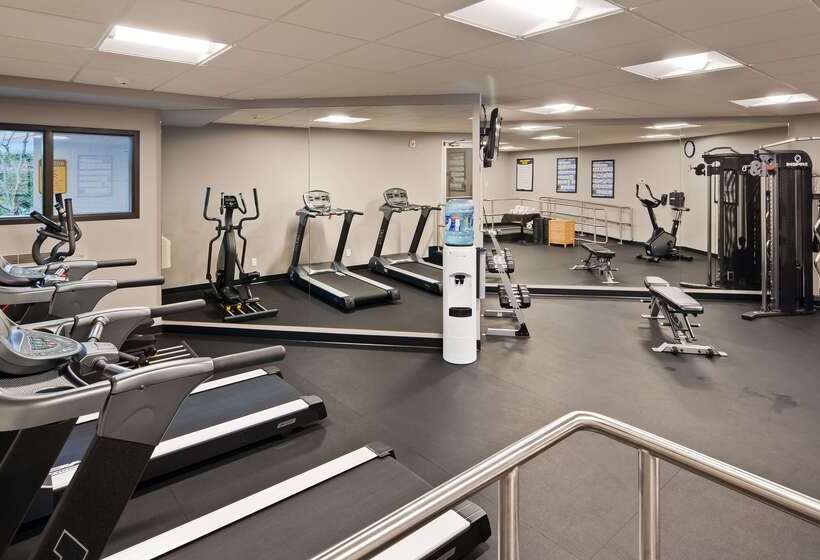 فندق Best Western Northgate