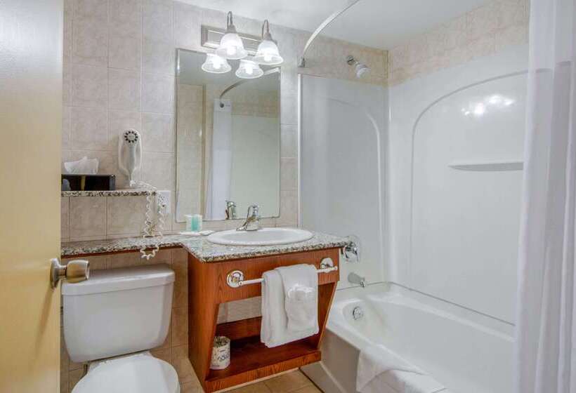 فندق Clarion