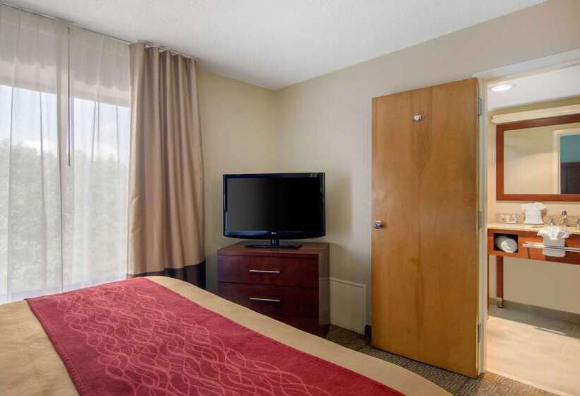 酒店 Comfort Inn Chester  Richmond South