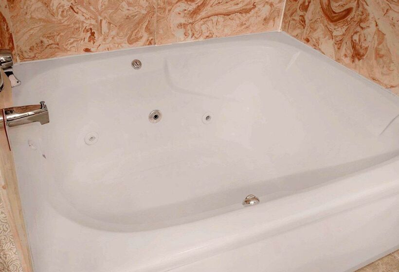 בית מלון כפרי Comfort Inn Livonia