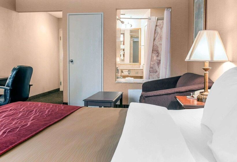 בית מלון כפרי Comfort Inn Livonia