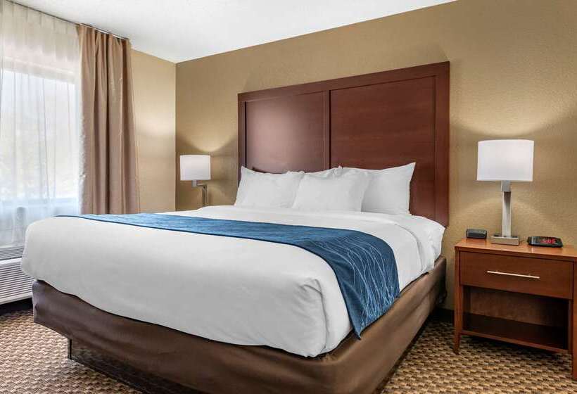 בית מלון כפרי Comfort Inn Near Kokomo Speedway