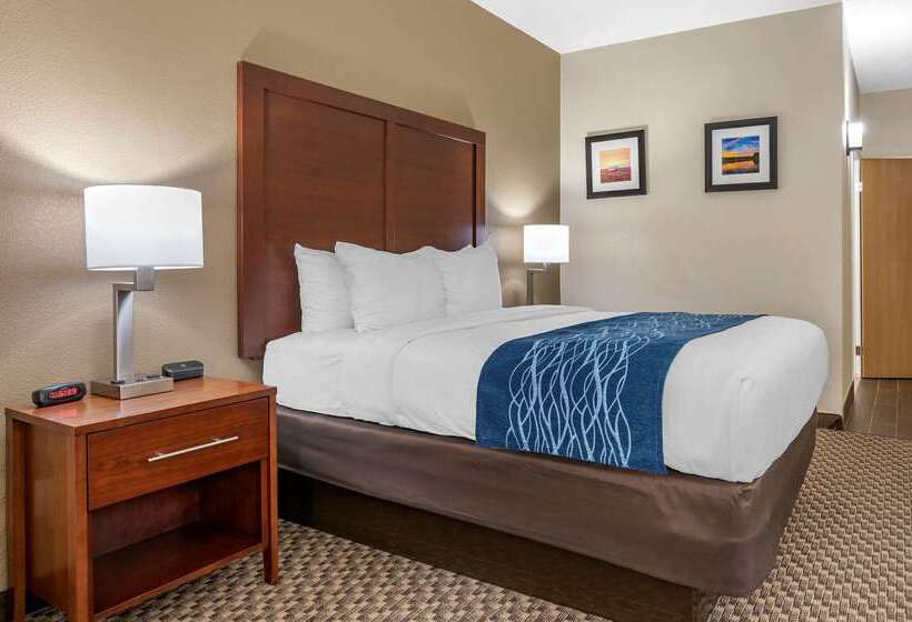 בית מלון כפרי Comfort Inn Near Kokomo Speedway