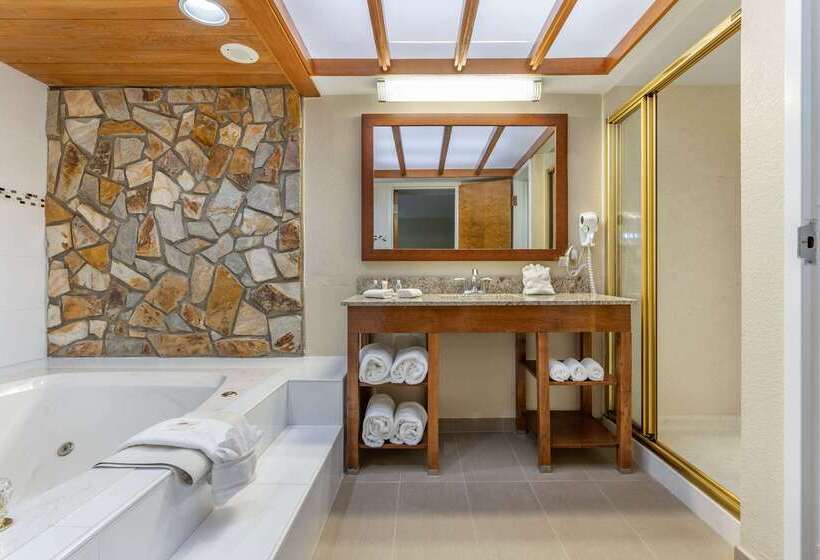 هتل Comfort Inn & Suites Clemson  University Area